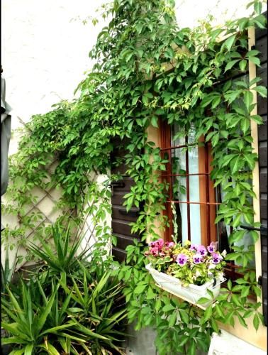 Outdoor Pictures 16