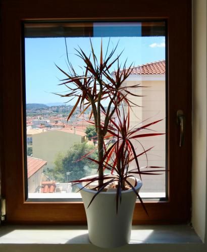 Villa Ariadne