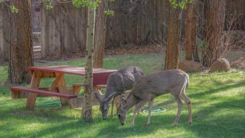 Outdoor Pictures 8