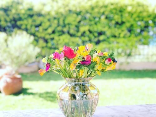 Outdoor Pictures 7