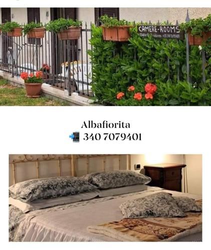 Outdoor Pictures 15