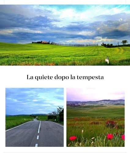 Outdoor Pictures 14