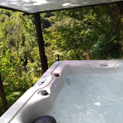 'Morris' the shepherd's hut with woodland hot tub