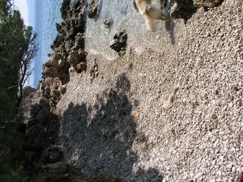 Outdoor Pictures 4