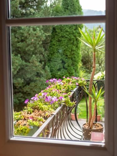 Outdoor Pictures 9
