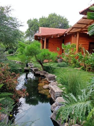 Outdoor Pictures 8