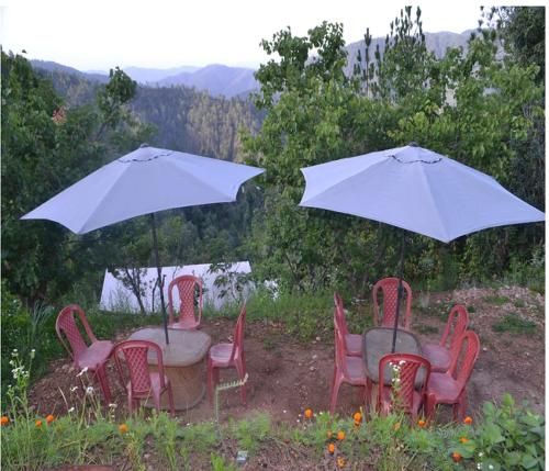 Outdoor Pictures 3