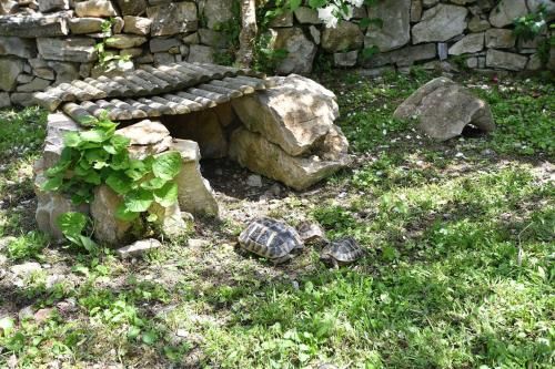 Outdoor Pictures 16