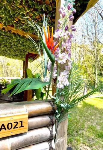 Outdoor Pictures 16