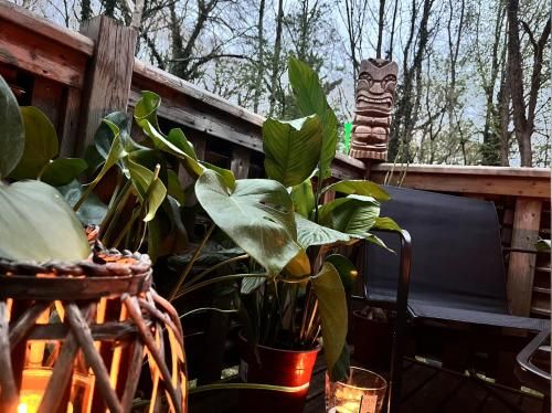Outdoor Pictures 11