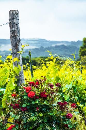 Outdoor Pictures 21