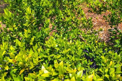 Outdoor Pictures 22
