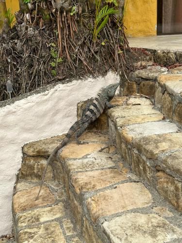 Outdoor Pictures 23