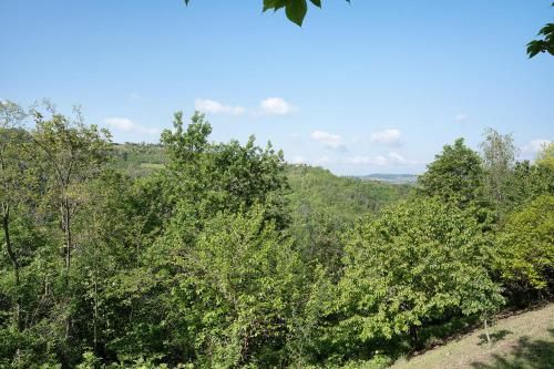 Outdoor Pictures 15