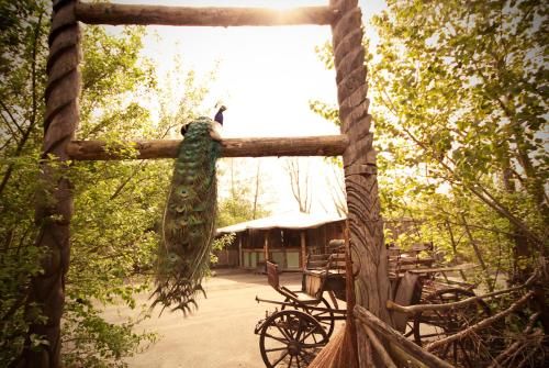 Bamboo Lodge Groningen