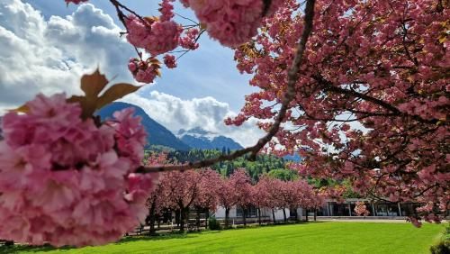 Outdoor Pictures 22