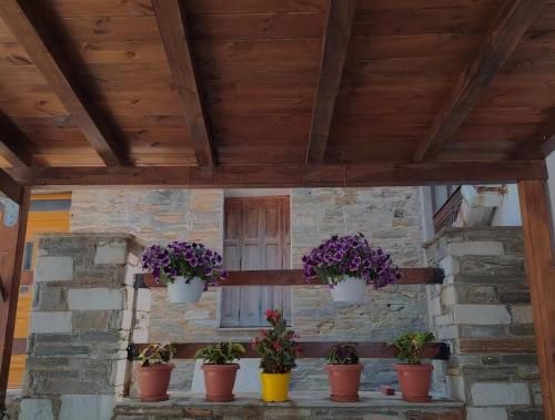 Outdoor Pictures 7
