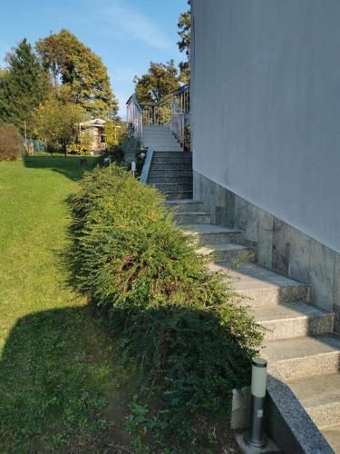 Outdoor Pictures 7