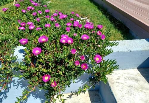 Outdoor Pictures 11