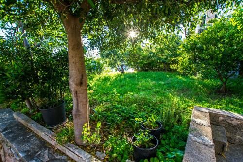 Outdoor Pictures 24