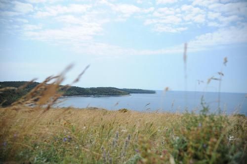 Outdoor Pictures 11