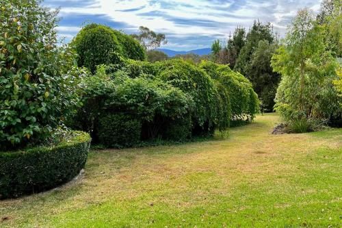 Outdoor Pictures 24