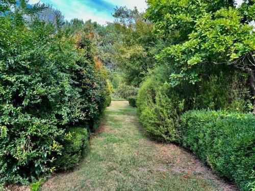 Outdoor Pictures 14