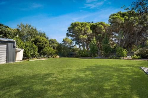 Outdoor Pictures 9