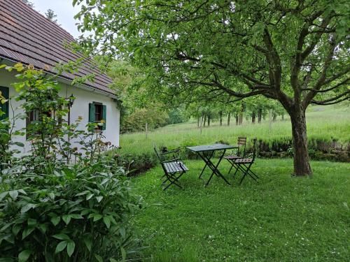 Outdoor Pictures 5
