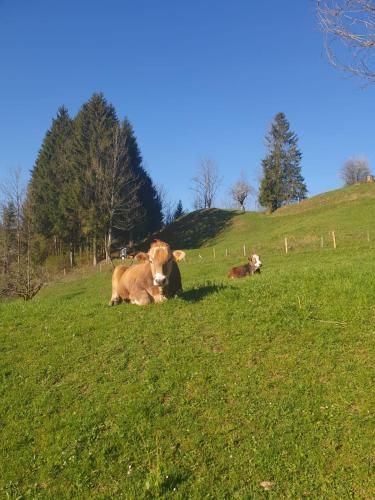 Outdoor Pictures 3