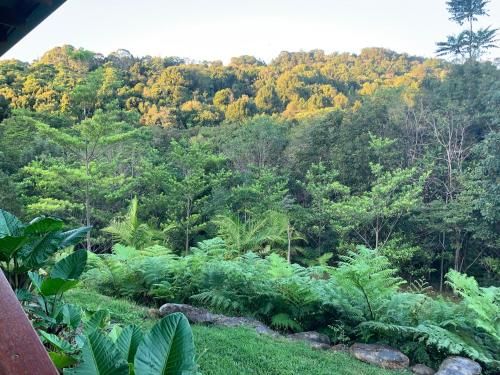 Outdoor Pictures 7