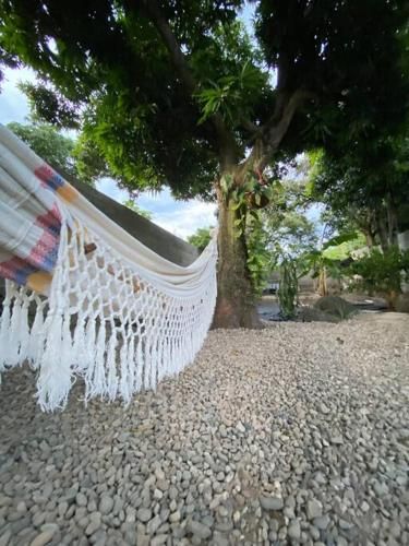 Outdoor Pictures 13