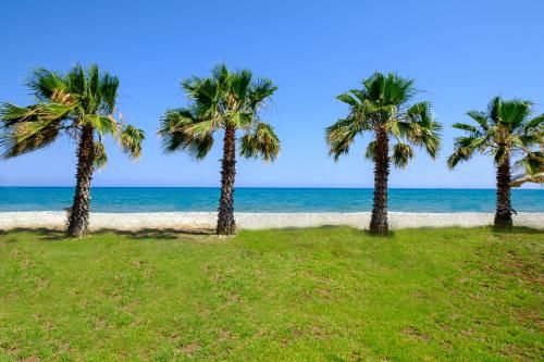 Outdoor Pictures 15