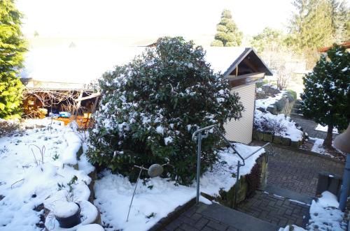 Outdoor Pictures 22
