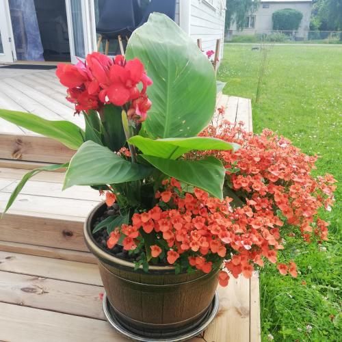 Outdoor Pictures 1