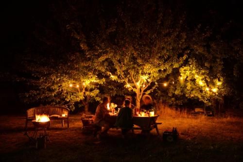 Outdoor Pictures 10
