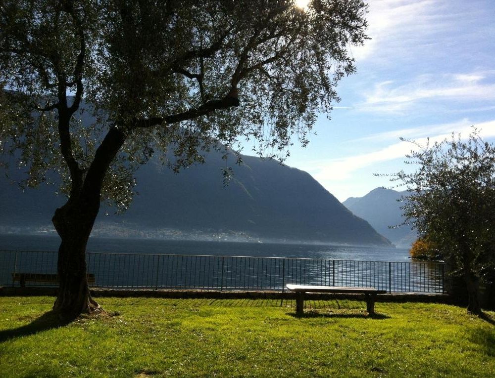 Outdoor Pictures 1