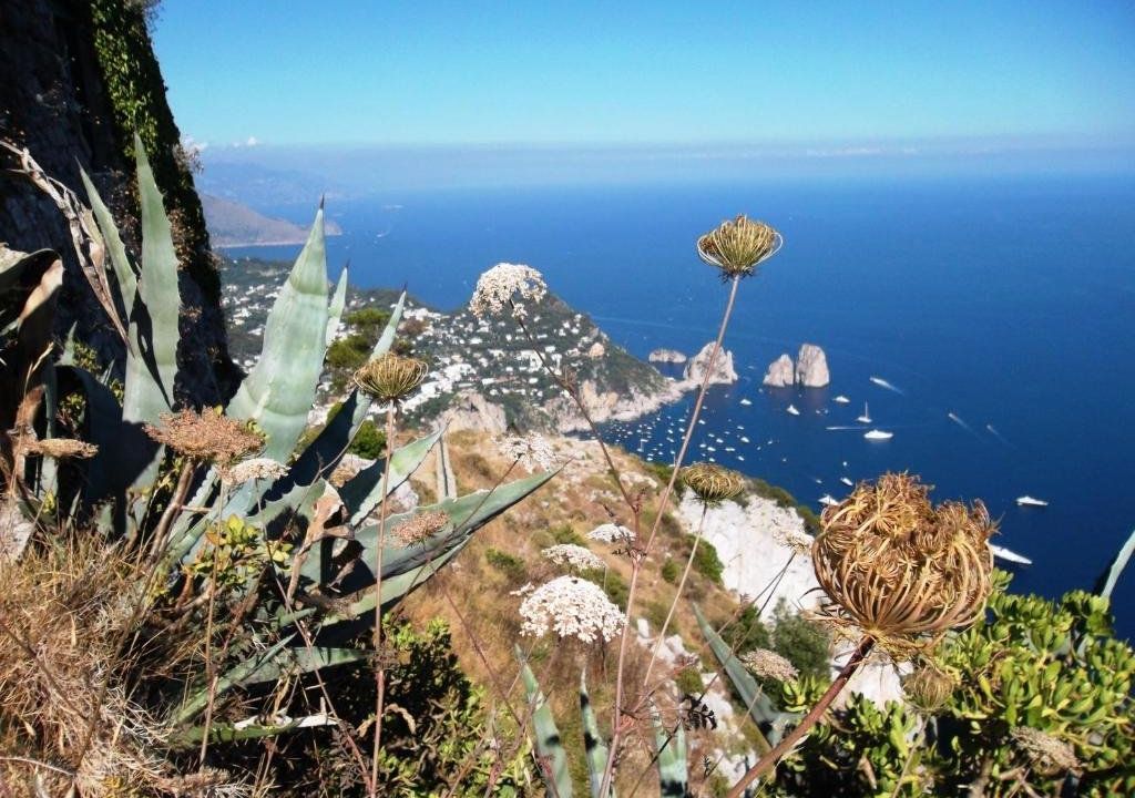 Tra Montagne e Mare