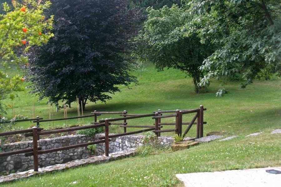 Outdoor Pictures 12