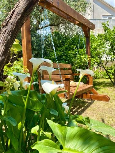 Outdoor Pictures 24