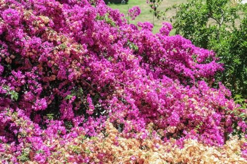 Outdoor Pictures 10