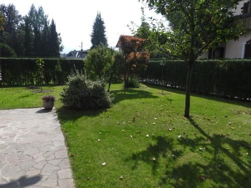 Outdoor Pictures 10