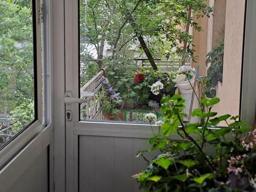 Outdoor Pictures 8