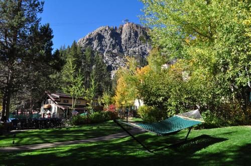 Outdoor Pictures 12