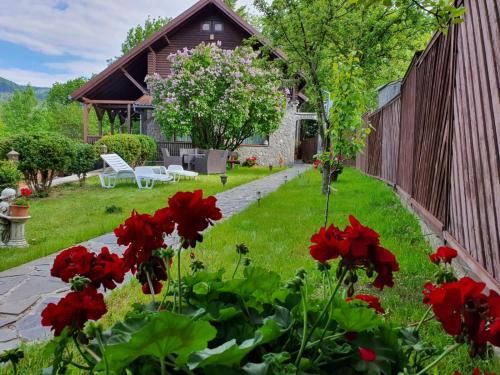 Outdoor Pictures 15