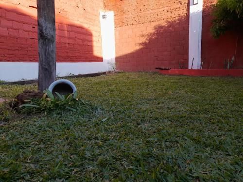 Outdoor Pictures 9