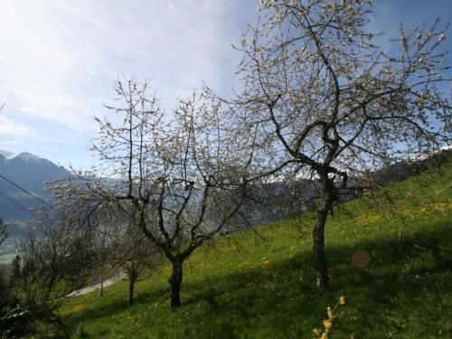 Outdoor Pictures 22