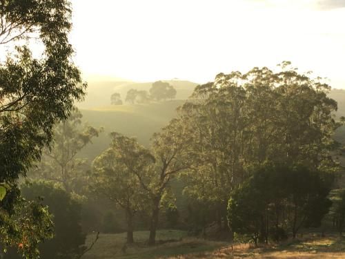 Outdoor Pictures 6