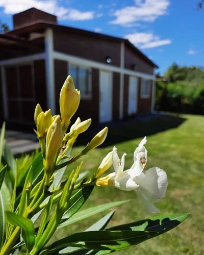 Outdoor Pictures 6