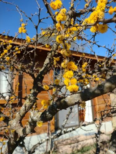 Outdoor Pictures 21